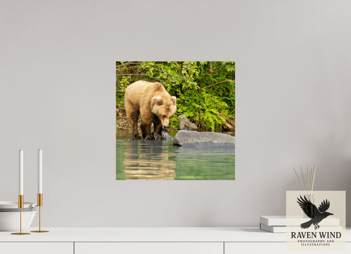 Raven Wind Photography & Illustrations-That's a miss! Fine Art Wildlife Photography Print -