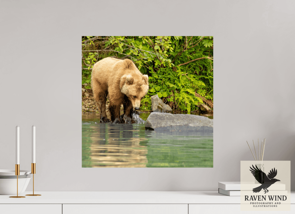 Raven Wind Photography & Illustrations-That's a miss! Fine Art Wildlife Photography Print -