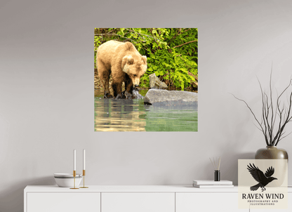 Raven Wind Photography & Illustrations-That's a miss! Fine Art Wildlife Photography Print -