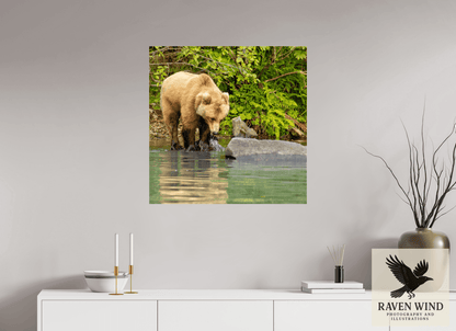 Raven Wind Photography & Illustrations-That's a miss! Fine Art Wildlife Photography Print -