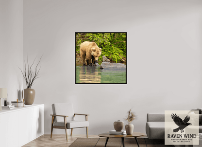 Raven Wind Photography & Illustrations-That's a miss! Fine Art Wildlife Photography Print -