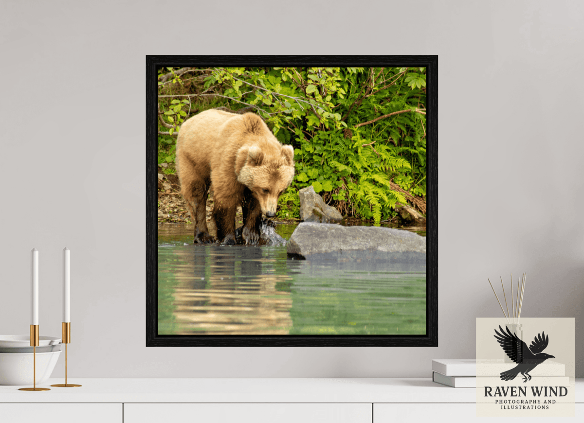 Raven Wind Photography & Illustrations-That's a miss! Fine Art Wildlife Photography Print -