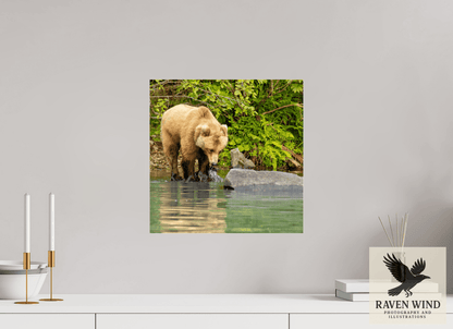 Raven Wind Photography & Illustrations-That's a miss! Fine Art Wildlife Photography Print -