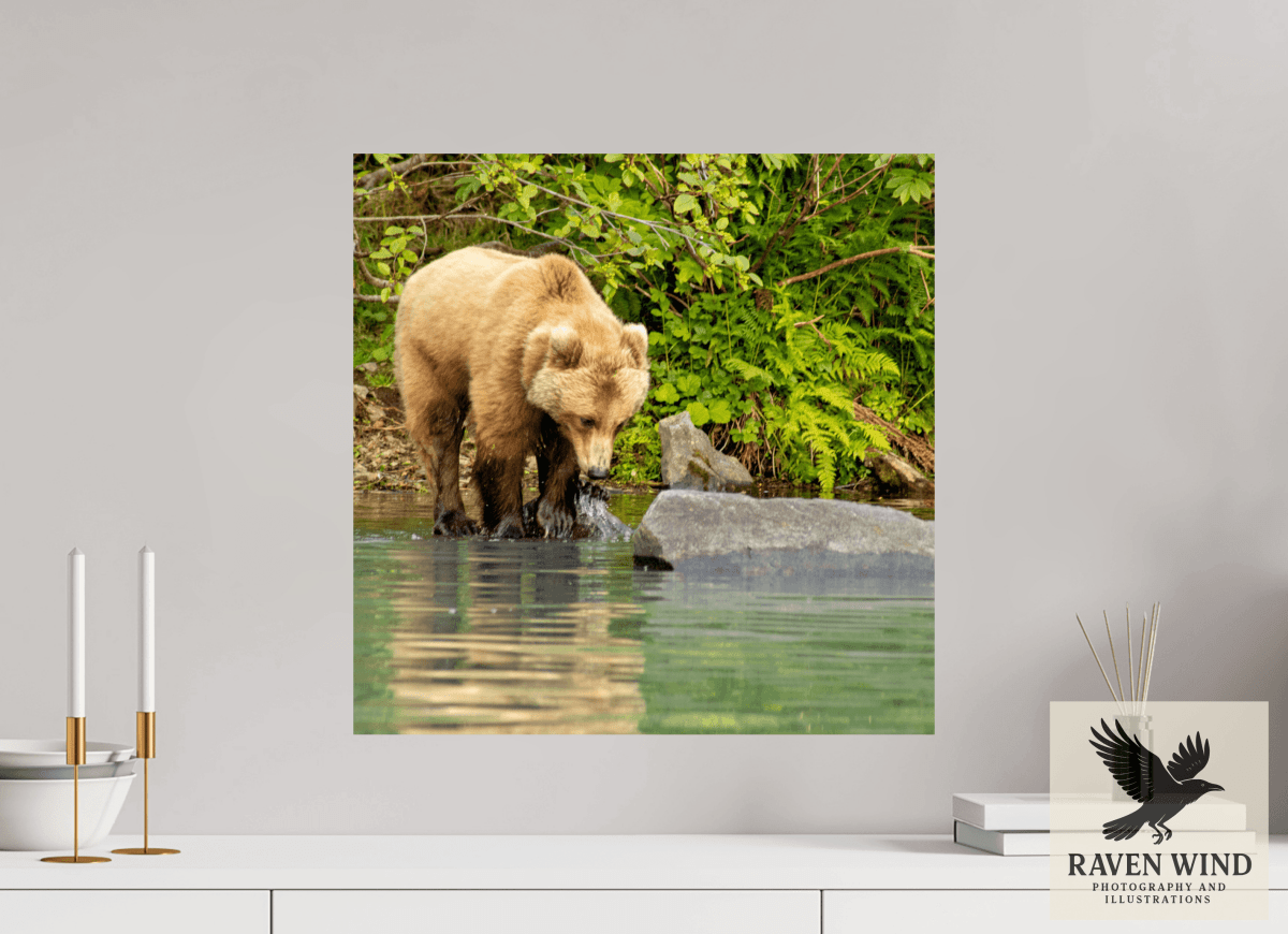 Raven Wind Photography & Illustrations-That's a miss! Fine Art Wildlife Photography Print -