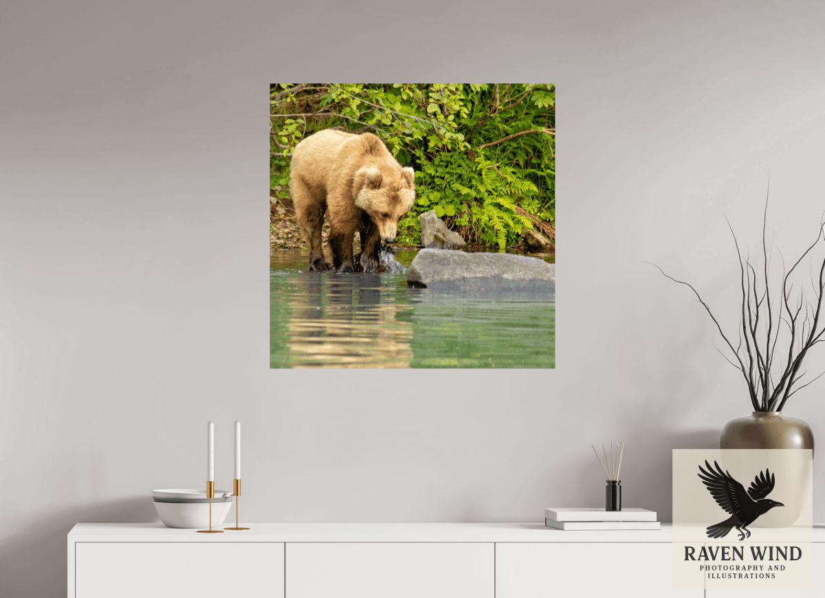 Raven Wind Photography & Illustrations-That's a miss! Fine Art Wildlife Photography Print -