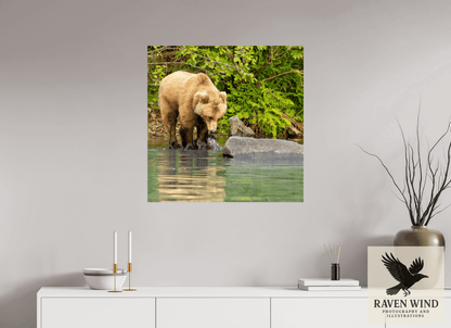 Raven Wind Photography & Illustrations-That's a miss! Fine Art Wildlife Photography Print -