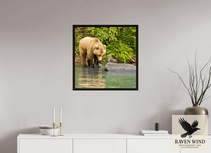 Raven Wind Photography & Illustrations-That's a miss! Fine Art Wildlife Photography Print -