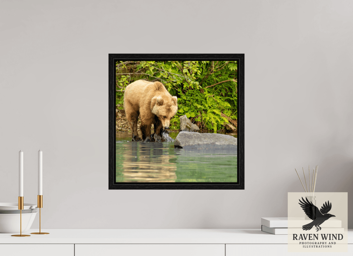 Raven Wind Photography & Illustrations-That's a miss! Fine Art Wildlife Photography Print -