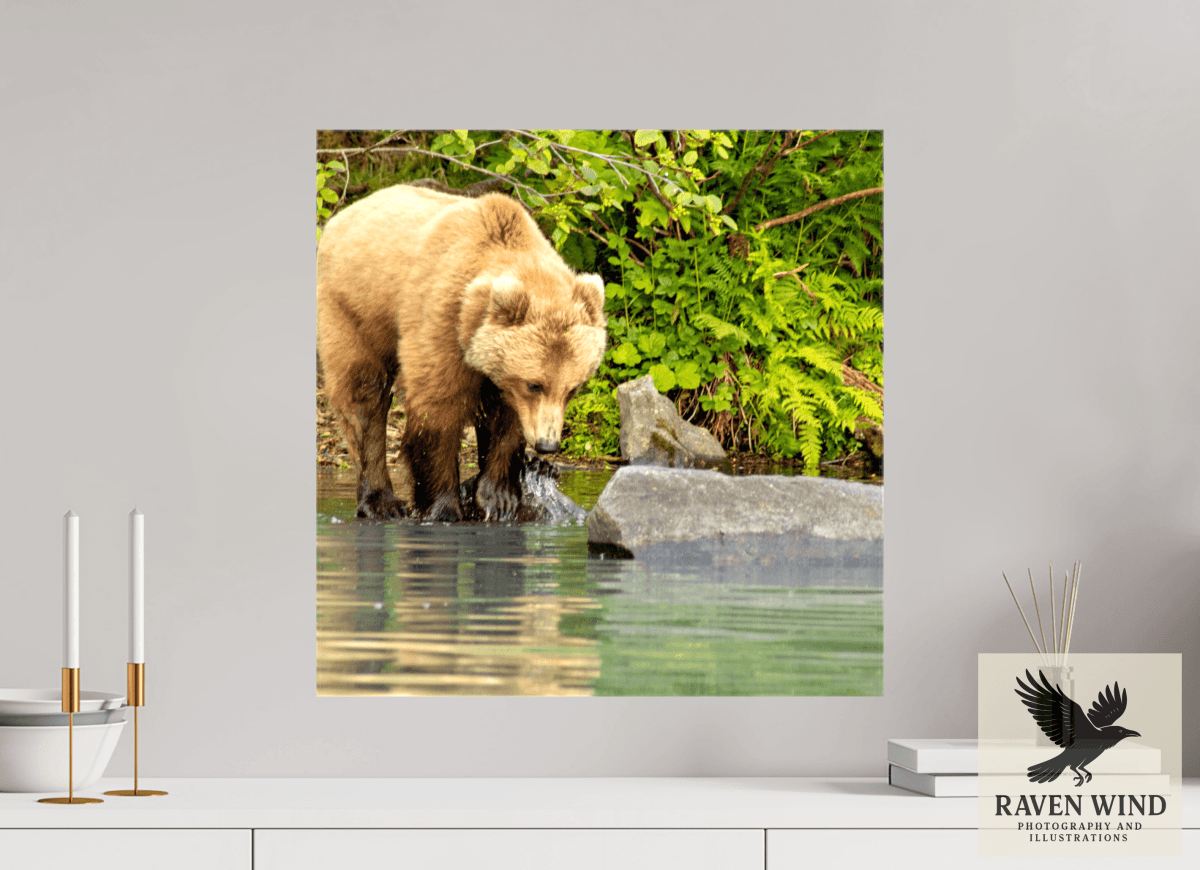 Raven Wind Photography & Illustrations-That's a miss! Fine Art Wildlife Photography Print -