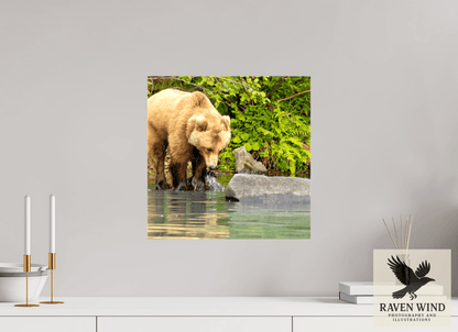 Raven Wind Photography & Illustrations-That's a miss! Fine Art Wildlife Photography Print -