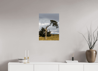 Raven Wind Photography & Illustrations-Still Standing: The Cedar That Weathered It All Fine Art Nature Print -