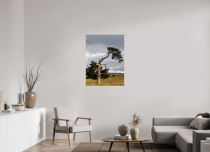 Raven Wind Photography & Illustrations-Still Standing: The Cedar That Weathered It All Fine Art Nature Print -