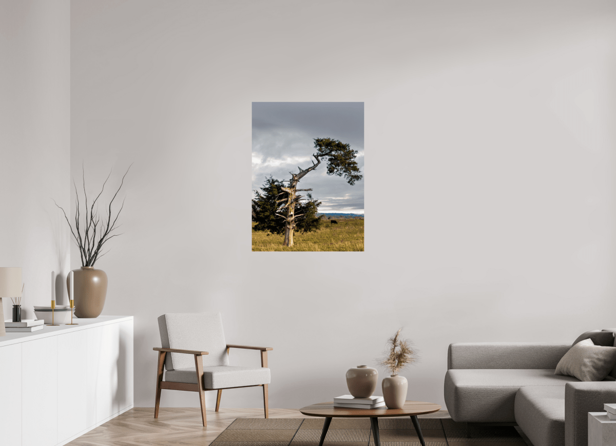 Raven Wind Photography & Illustrations-Still Standing: The Cedar That Weathered It All Fine Art Nature Print -