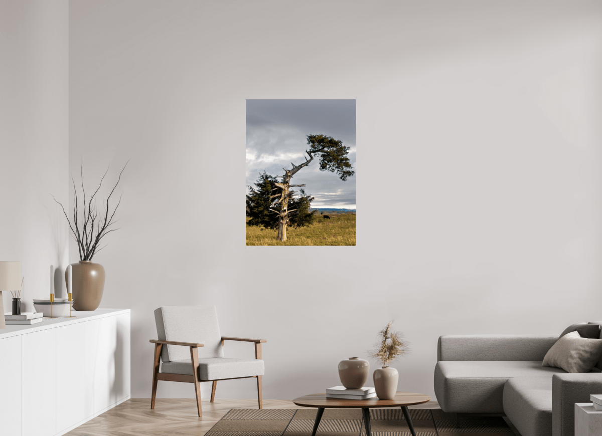 Raven Wind Photography & Illustrations-Still Standing: The Cedar That Weathered It All Fine Art Nature Print -