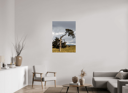 Raven Wind Photography & Illustrations-Still Standing: The Cedar That Weathered It All Fine Art Nature Print -