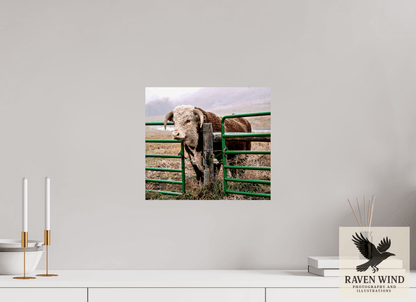 Raven Wind Photography & Illustrations-The Honor System Fine Art Nature Print -