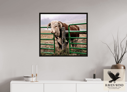 Raven Wind Photography & Illustrations-The Honor System Fine Art Nature Print -