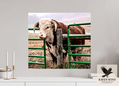 Raven Wind Photography & Illustrations-The Honor System Fine Art Nature Print -