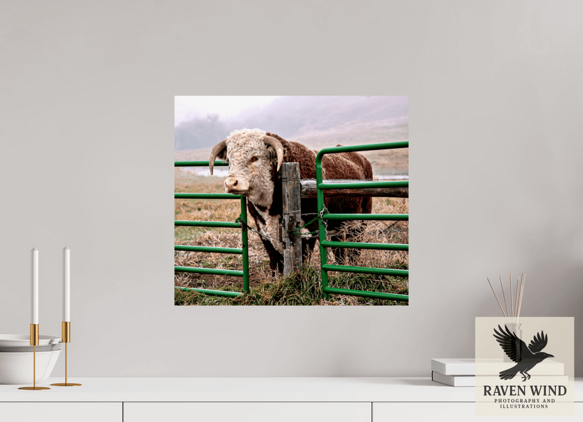 Raven Wind Photography & Illustrations-The Honor System Fine Art Nature Print -