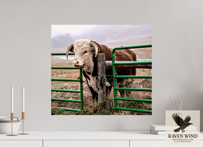 Raven Wind Photography & Illustrations-The Honor System Fine Art Nature Print -