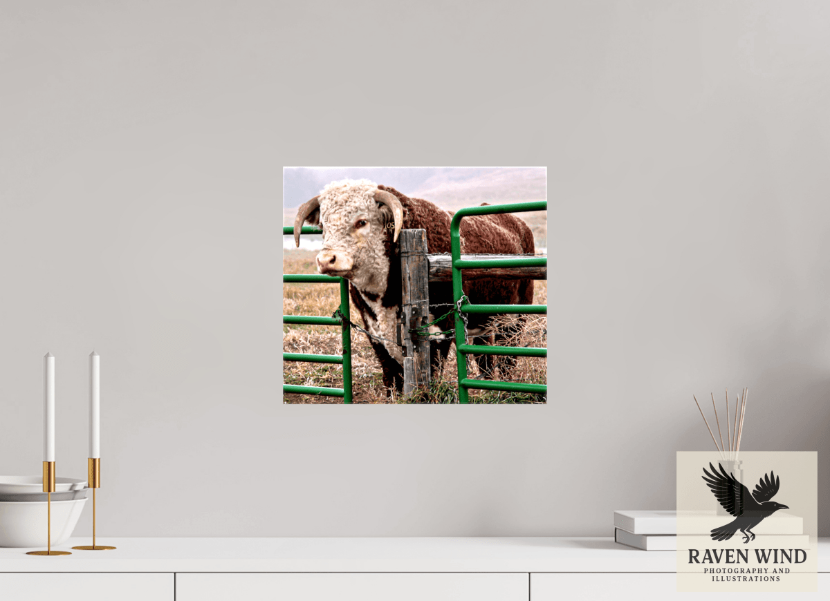 Raven Wind Photography & Illustrations-The Honor System Fine Art Nature Print -