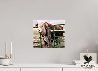 Raven Wind Photography & Illustrations-The Honor System Fine Art Nature Print -