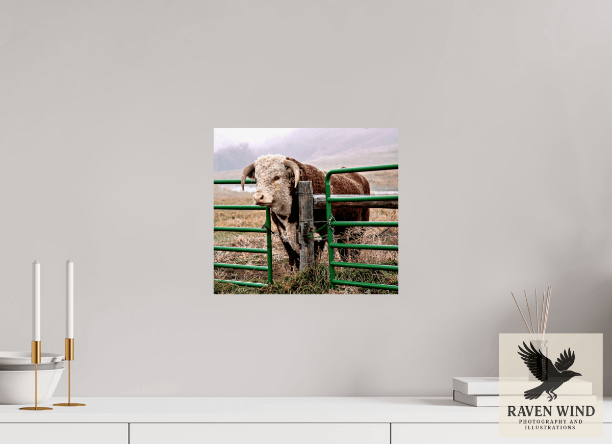 Raven Wind Photography & Illustrations-The Honor System Fine Art Nature Print -