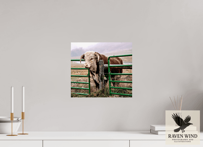 Raven Wind Photography & Illustrations-The Honor System Fine Art Nature Print -