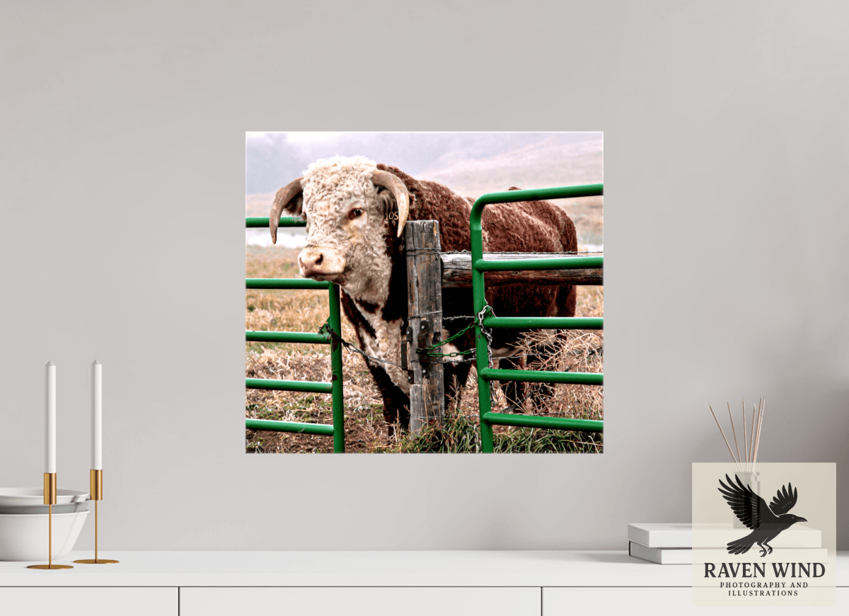 Raven Wind Photography & Illustrations-The Honor System Fine Art Nature Print -