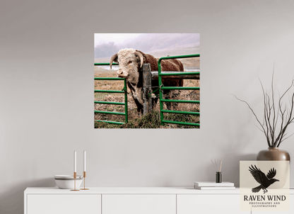 Raven Wind Photography & Illustrations-The Honor System Fine Art Nature Print -