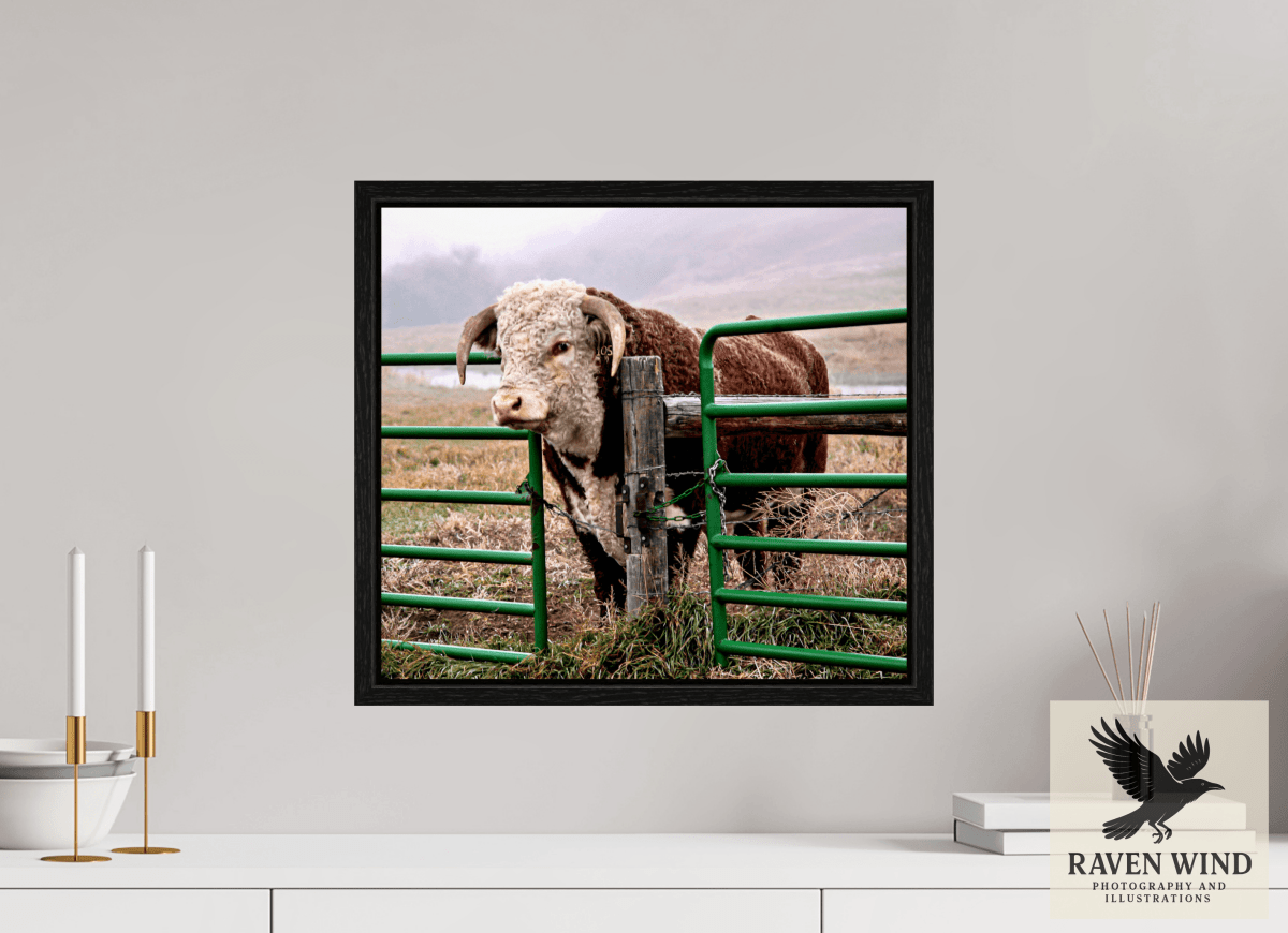 Raven Wind Photography & Illustrations-The Honor System Fine Art Nature Print -