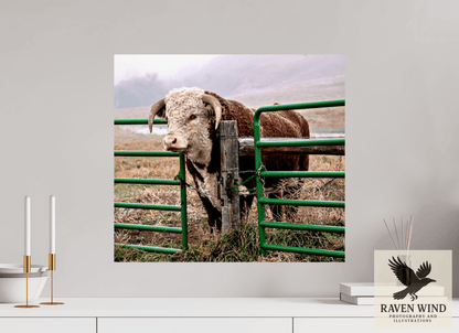 Raven Wind Photography & Illustrations-The Honor System Fine Art Nature Print -