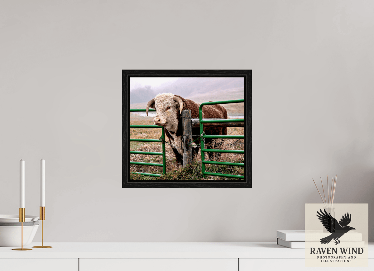 Raven Wind Photography & Illustrations-The Honor System Fine Art Nature Print -