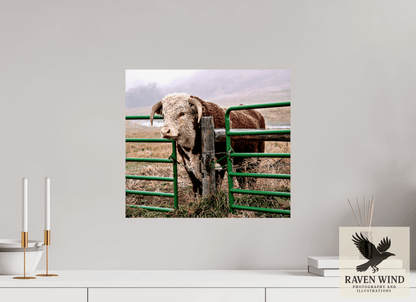 Raven Wind Photography & Illustrations-The Honor System Fine Art Nature Print -