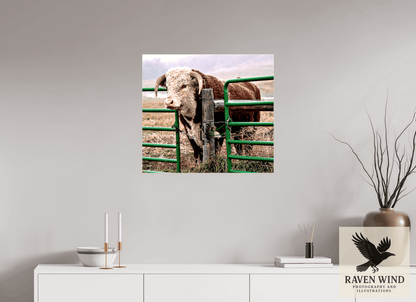 Raven Wind Photography & Illustrations-The Honor System Fine Art Nature Print -