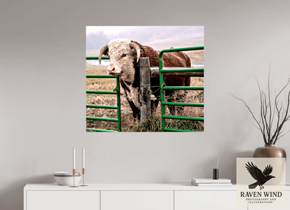 Raven Wind Photography & Illustrations-The Honor System Fine Art Nature Print -