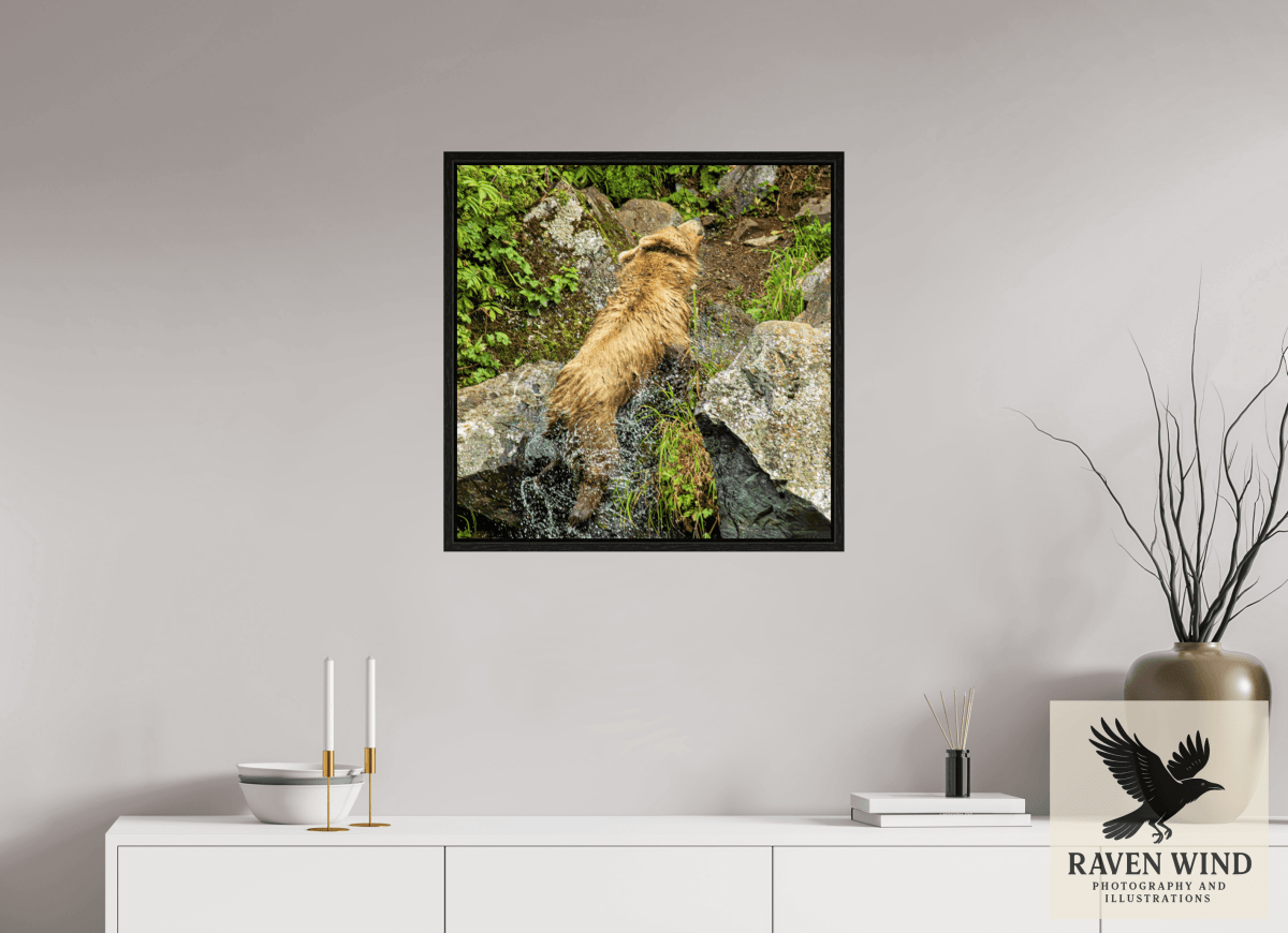Raven Wind Photography & Illustrations-The Shake Fine Art Wildlife Print -