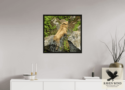 Raven Wind Photography & Illustrations-The Shake Fine Art Wildlife Print -