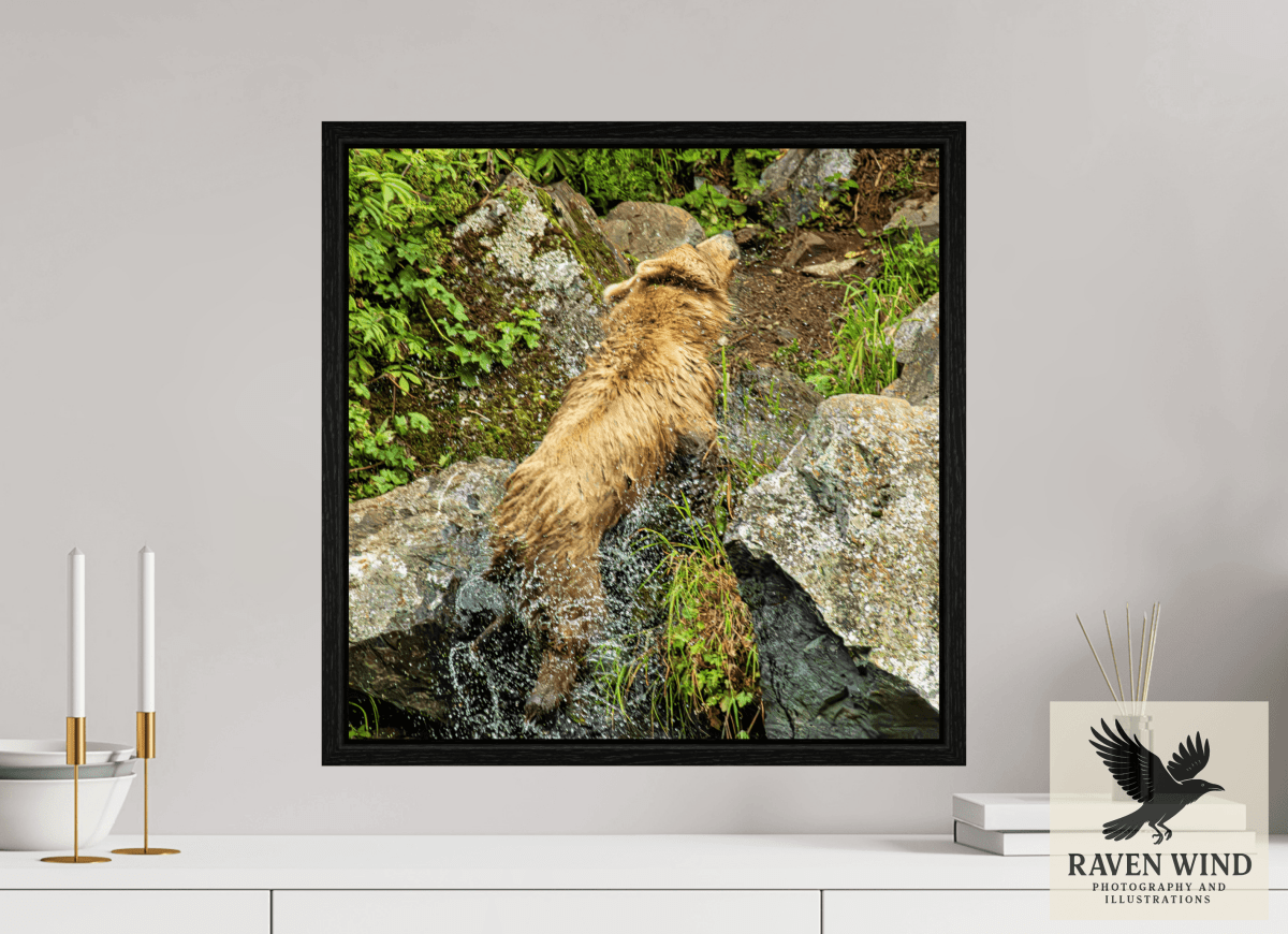Raven Wind Photography & Illustrations-The Shake Fine Art Wildlife Print -