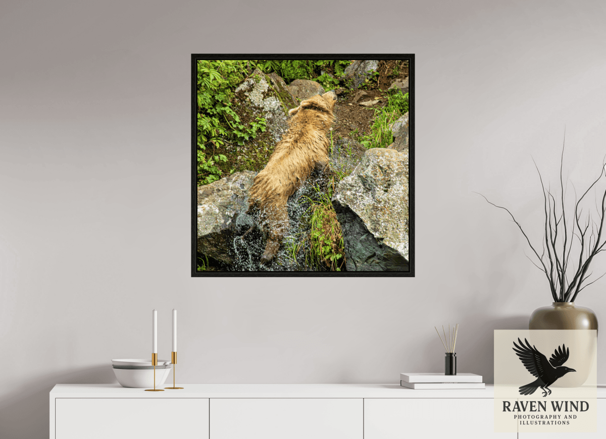 Raven Wind Photography & Illustrations-The Shake Fine Art Wildlife Print -