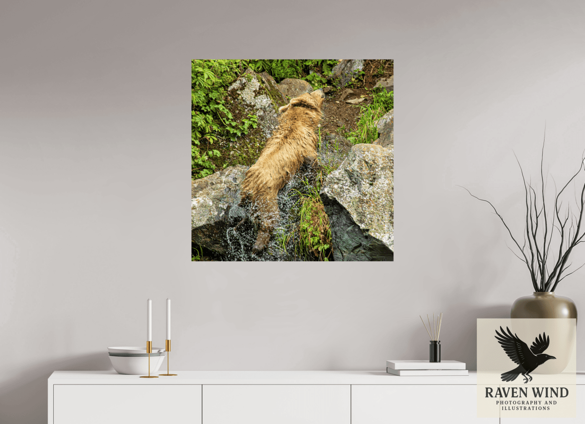 Raven Wind Photography & Illustrations-The Shake Fine Art Wildlife Print -