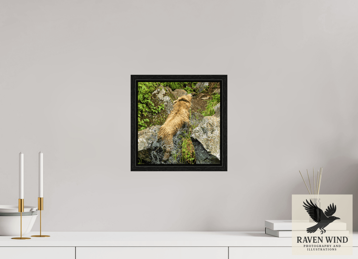 Raven Wind Photography & Illustrations-The Shake Fine Art Wildlife Print -