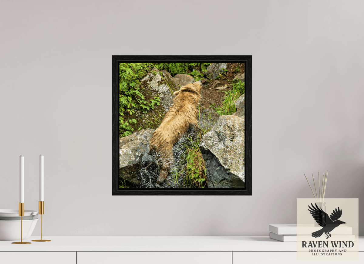 Raven Wind Photography & Illustrations-The Shake Fine Art Wildlife Print -