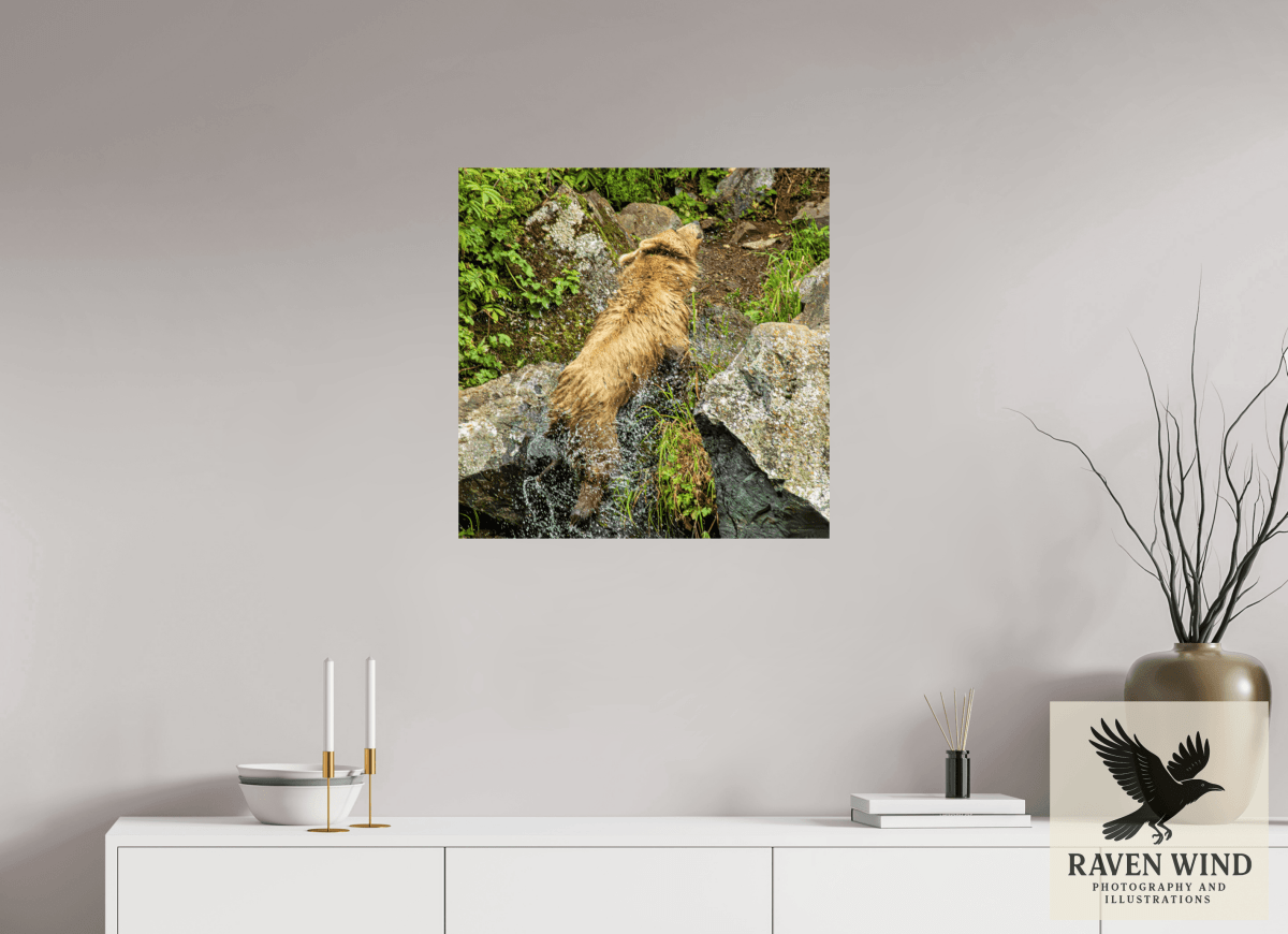 Raven Wind Photography & Illustrations-The Shake Fine Art Wildlife Print -