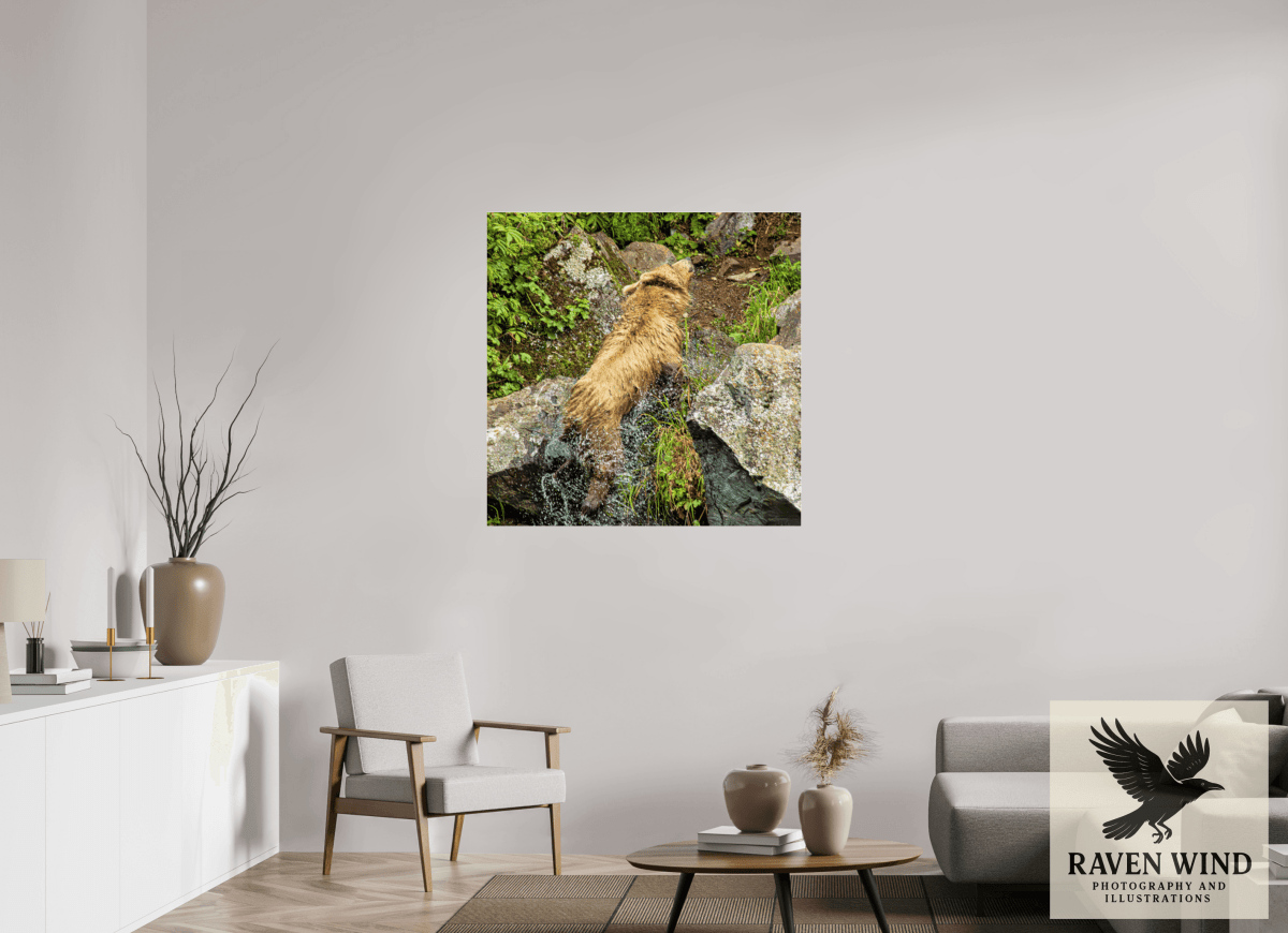 Raven Wind Photography & Illustrations-The Shake Fine Art Wildlife Print -