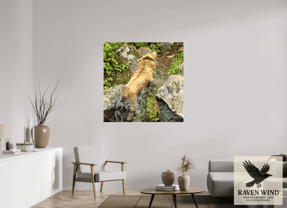 Raven Wind Photography & Illustrations-The Shake Fine Art Wildlife Print -