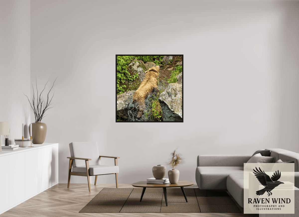 Raven Wind Photography & Illustrations-The Shake Fine Art Wildlife Print -