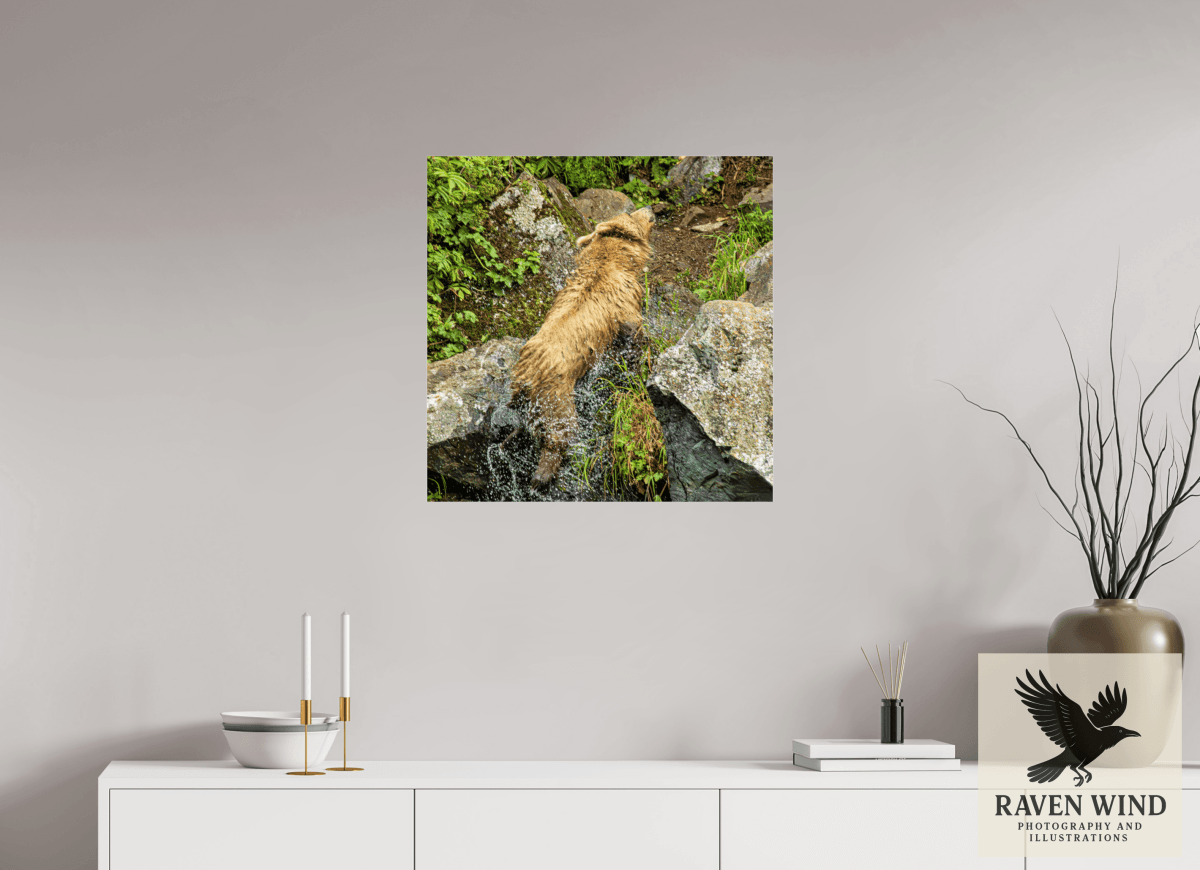 Raven Wind Photography & Illustrations-The Shake Fine Art Wildlife Print -