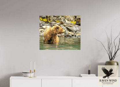 Raven Wind Photography & Illustrations-Watchful Momma Fine Art Wildlife Print -