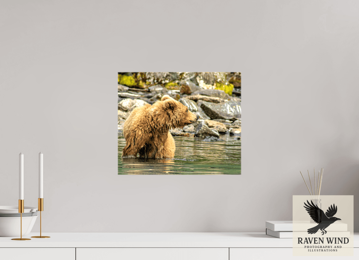 Raven Wind Photography & Illustrations-Watchful Momma Fine Art Wildlife Print -